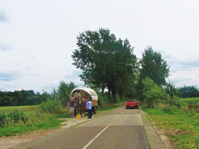 5e Taxandriarit op 1-9-2013 (76).JPG